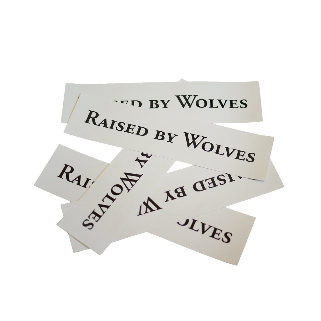 Pack of 5 RBW Logotype Stickers (White)