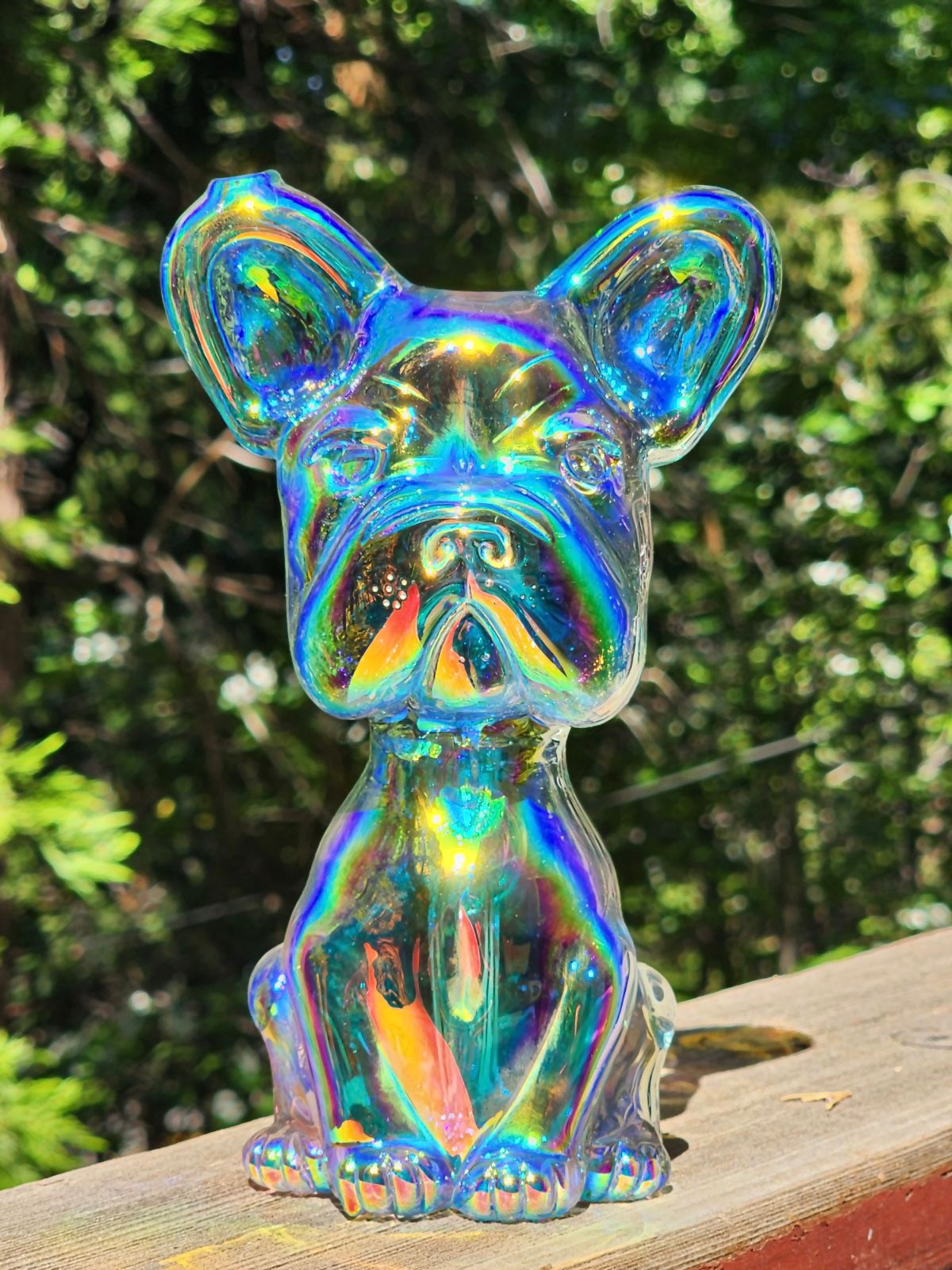 Swanny Full Color Frog Pose Frenchie  with Specialty Dichro Coating