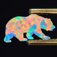 Profound White 12mm California Bear