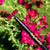Pearl Grabber by Ruby Pearl Co (All Colors Listed Below)