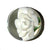 Flower Implosion Marble (White/Green)